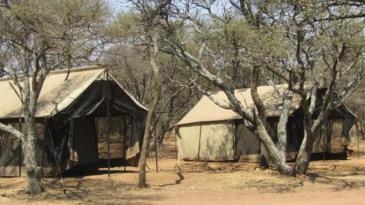 Zebra Nature Reserve Villa Cullinan Eksteriør bilde