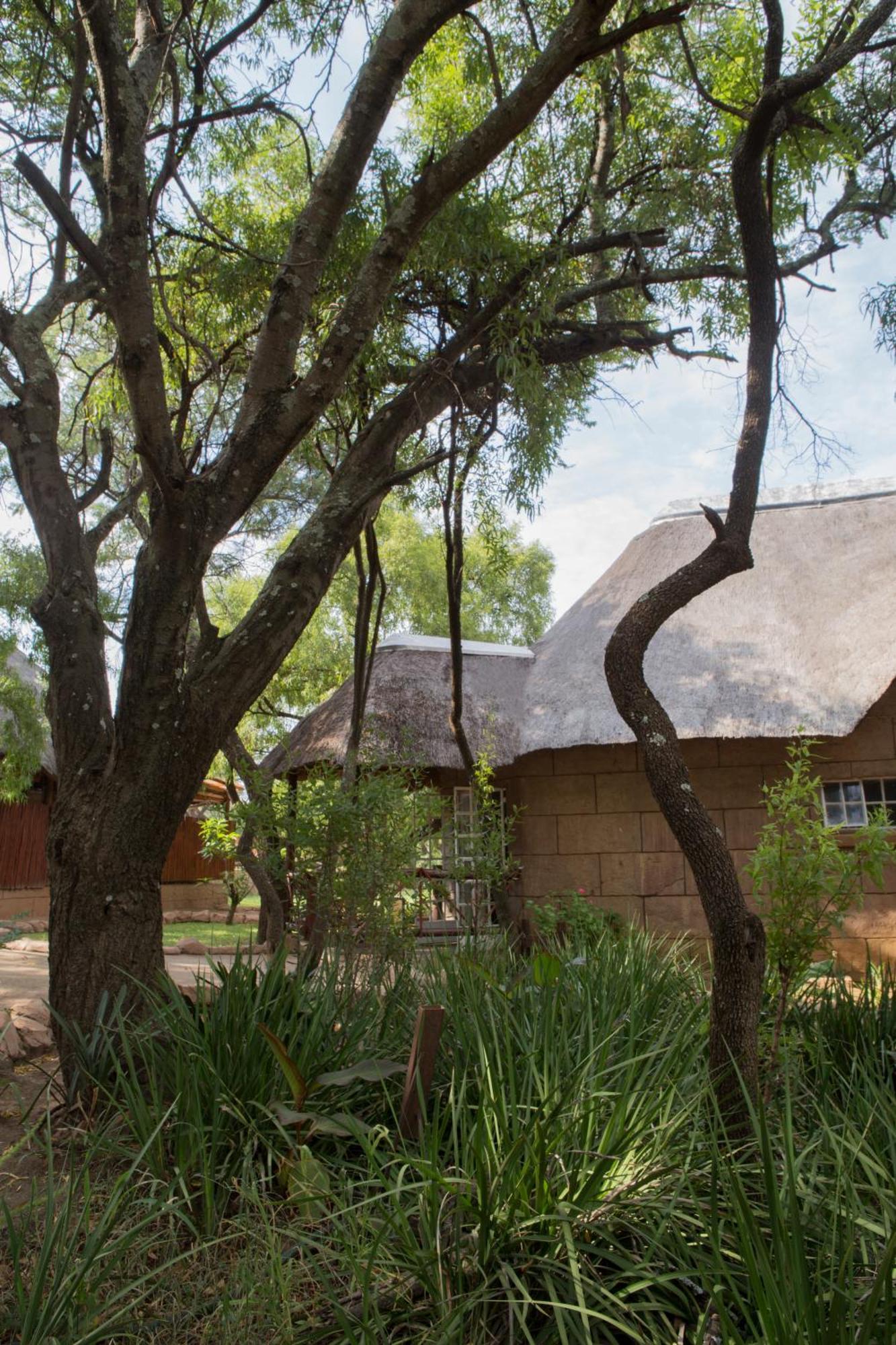 Zebra Nature Reserve Villa Cullinan Eksteriør bilde